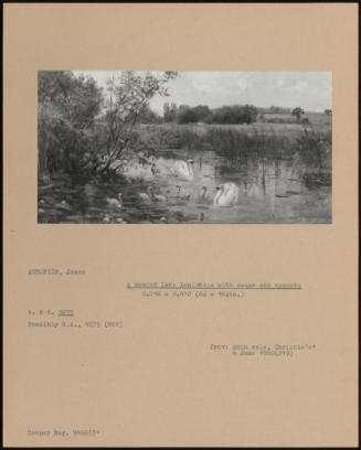 A Wooded Lake Landscape With Swans And Cygnets