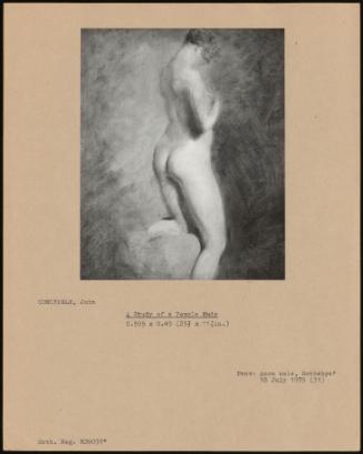 A Study Of A Female Nude