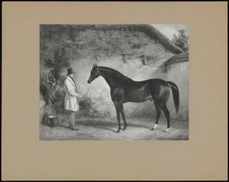 Horse Portrait With Groom In Stable Yard