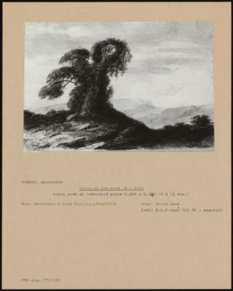 Trees On The Brow Of A Hill