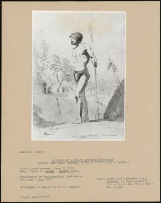 A Study Of A South African Tribesman