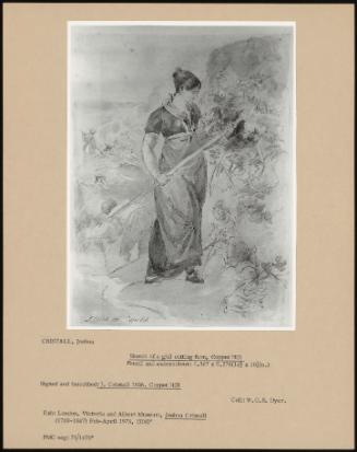 Sketch Of A Girl Cutting Fern, COppét Hill