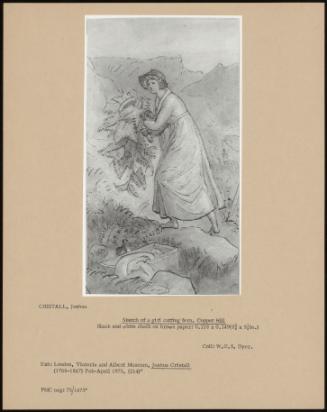 Sketch Of A Girl Cutting Fern, COppét Hill