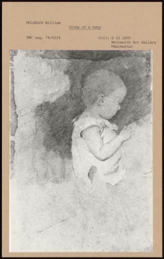 Study Of A Baby