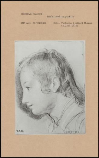 Boy's Head In Profile