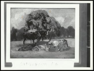 Study of Cattle Under a Tree