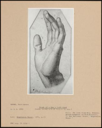 Study Of A Man's Left Hand