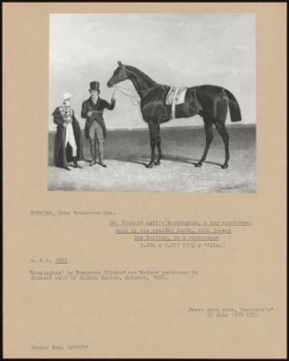 Mr. Richard Watt's Rockingham, A Bay Racehorse, Held By His Trainer Forth, With Jockey Sam Darling, On A Racehorse