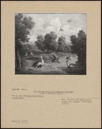 Duck And Other Birds In A Wooded River Landscape