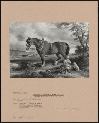 English & Scottish Farm Horses