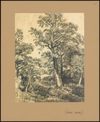 A Woodland Landscape, East Bergholt