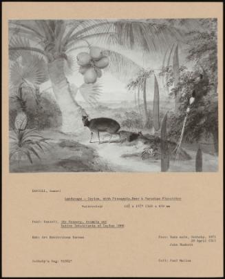 Landscape - Ceylon, With Pineapple, Deer & Paradise Flycatcher
