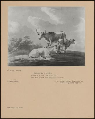 Cattle In A Meadow