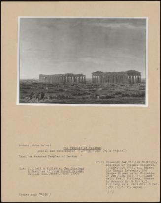 The Temples At Paestum