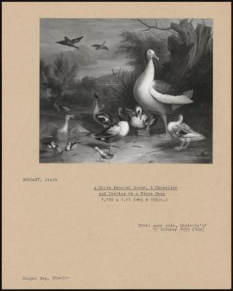 A White Fronted Goose, A Shoveller And Poultry On A River Bank