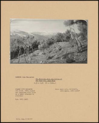 The Maritime Alps And Valley Of The Peligoni, Near Nice