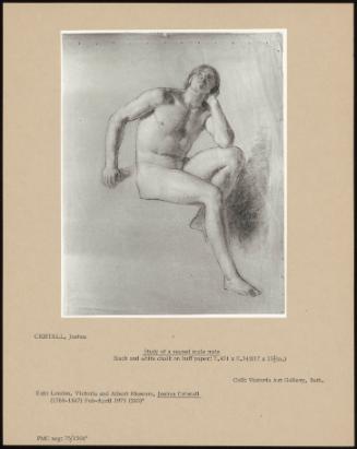Study Of A Seated Male Nude