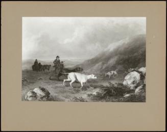 Shooting- Three Pointers Approaching A Covey Of Grouse Sheltering Amongst Boulders (One Of A Set Of 4)