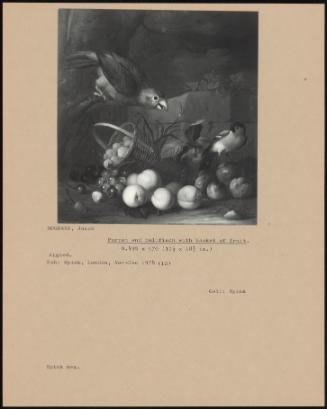 Parrot And Bullfinch With Basket Of Fruit