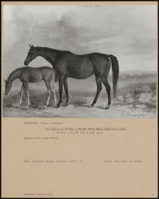 The Earl Of Derby's Brown Mare Opal With Her Foal