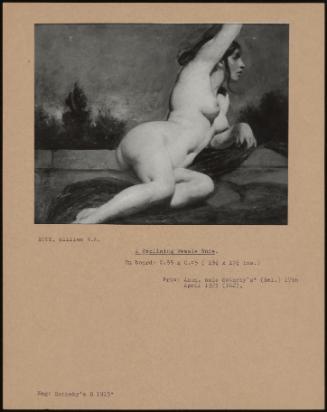 A Reclining Female Nude