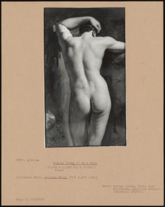 Figure Study Of Male Nude
