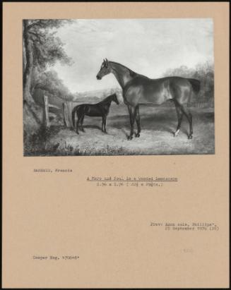 A Mare And Foal In A Wooded Landscape
