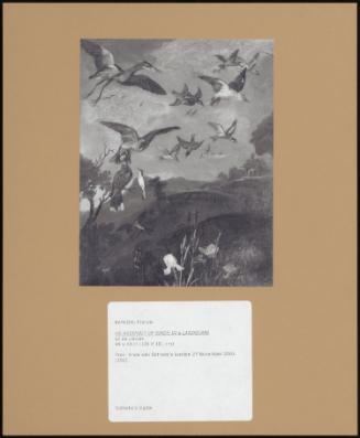 An Assembly Of Birds In A Landscape