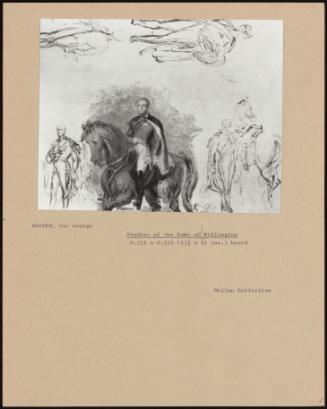 Studies Of The Duke Wellington