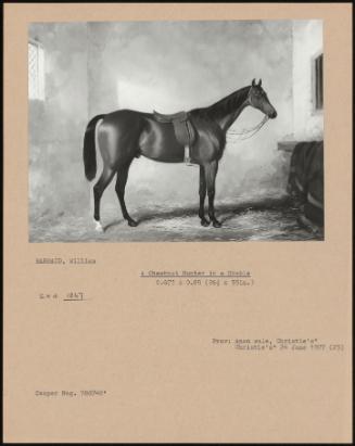 A Chestnut Hunter In A Stable