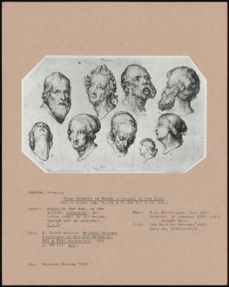 Nine Studies Of Heads Arranged In Two Rows