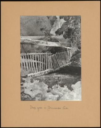 The Drop Gate In Duncombe Park. Yorkshire