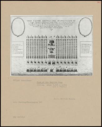 Plan Of The English Camp