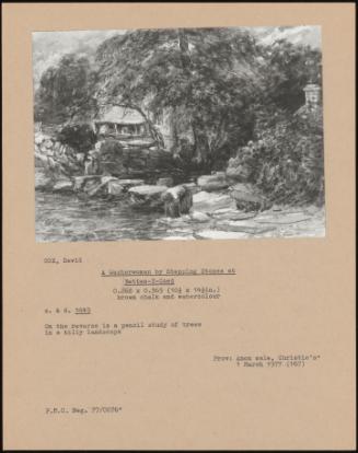 A Washerwoman By Stepping Stones At Bettws-Y-Coed