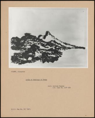 Album Of Etchings Of Trees