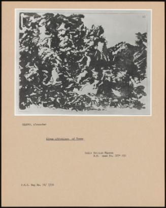 Album Of Etchings Of Trees