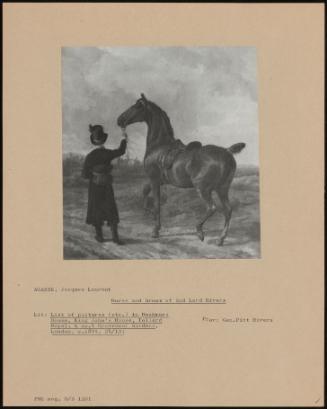 Horse And Groom Of 2nd Lord Rivers