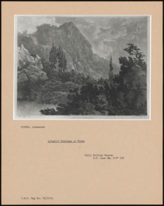 Album Of Etching Of Trees