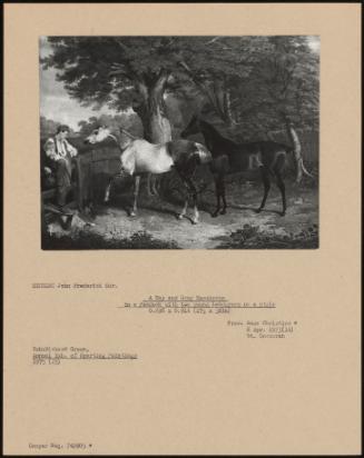 A Bay And Grey Racehorse In A Paddock With Two Young Labourers On A Style