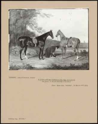 A Groom With Two Hunters At The Edge Of A Covert