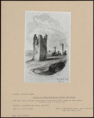 Castle Of Clonmines, Abbey Church And Tower.