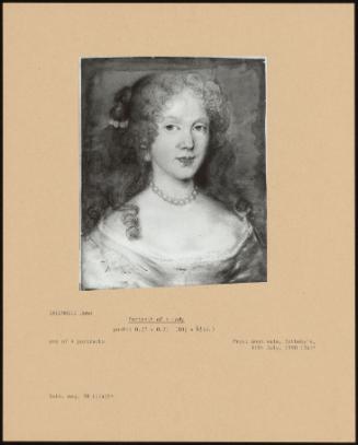 Portrait Of A Lady