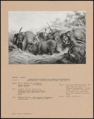 A Rhinoceros Hunted (Or Bayed) By Elephants