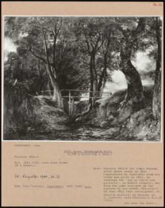 Dell Scene (Helmingham Dell)