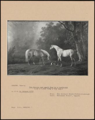 Two Horses And Small Dog In A Landscape