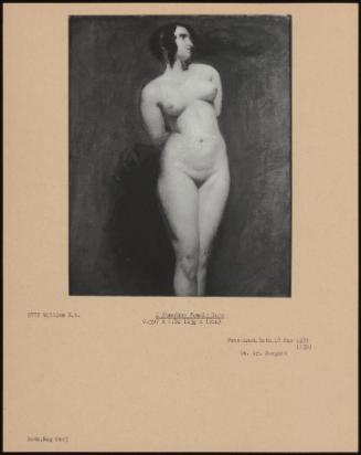 A Standing Female Nude