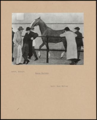 Horse Dealers