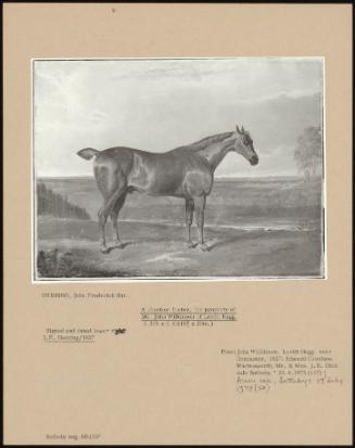 A Chestnut Hunter, The Property Of Mr. John Wilkinson Of Levitt Hagg.