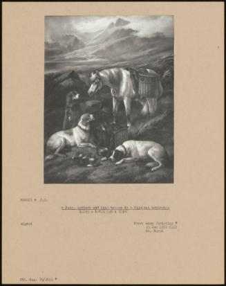 A Pony, Setters And Dead Grouse In A Highland Landscapes