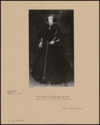 Mary Dudley, Lady Sidney (D.1586)